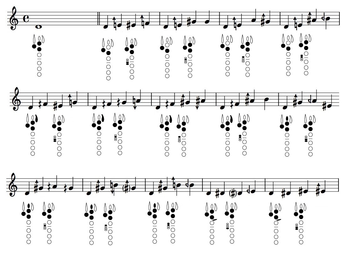 clarinet multiphonics notation